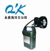 供应便携式免维护强光防爆工作灯 IW5120 